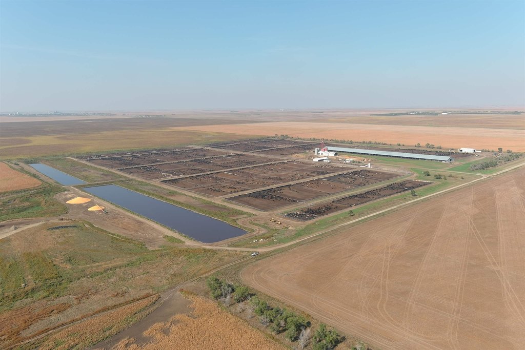 Onida, South Dakota, 57564, United States, ,Residential,Forsale,2011094