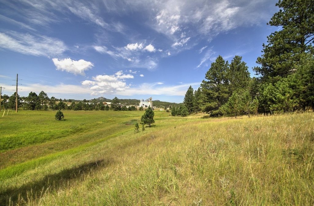Custer, South Dakota, 57730, United States, ,Land,Forsale,1959663