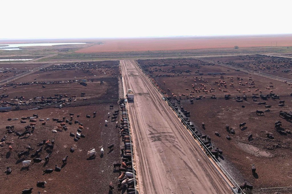 Onida, South Dakota, 57564, United States, ,Residential,Forsale,2011094