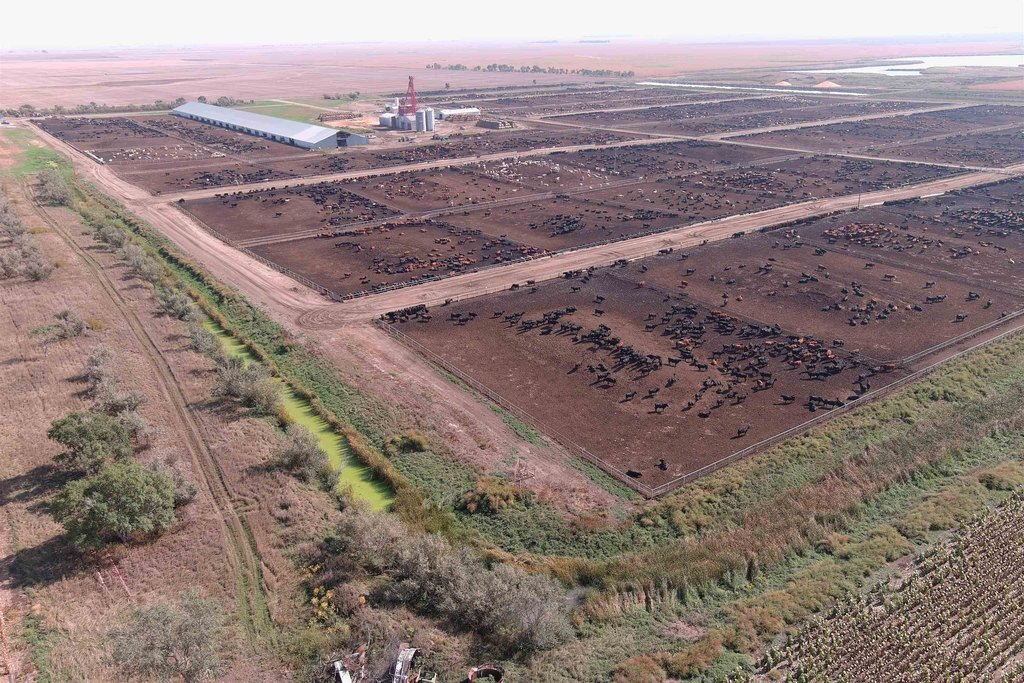 Onida, South Dakota, 57564, United States, ,Residential,Forsale,2011094