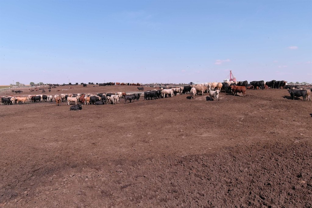 Onida, South Dakota, 57564, United States, ,Residential,Forsale,2011094