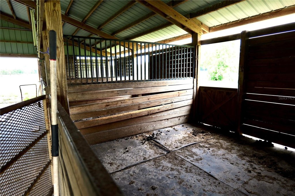 SUMMERFIELD, Florida, 34491, United States, 3 Bedrooms Bedrooms, ,3 BathroomsBathrooms,Residential,Forsale,2009510