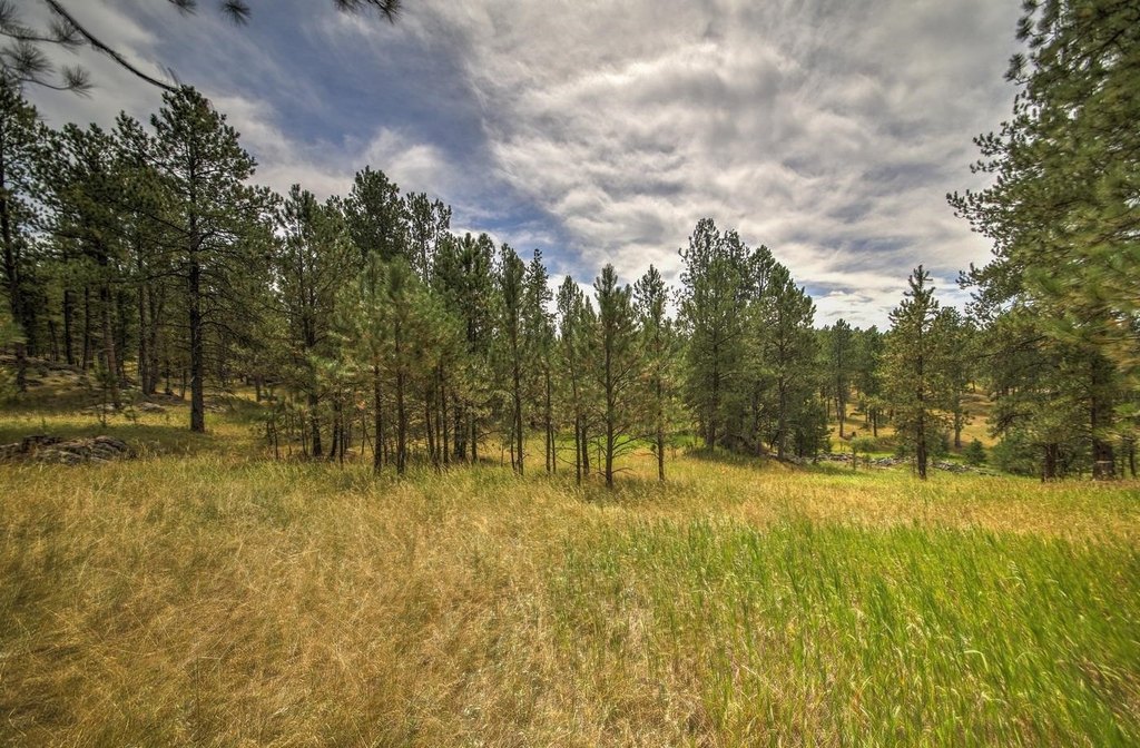 Custer, South Dakota, 57730, United States, ,Land,Forsale,1959663