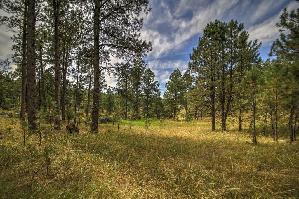 Custer, South Dakota, 57730, United States, ,Land,Forsale,1959663