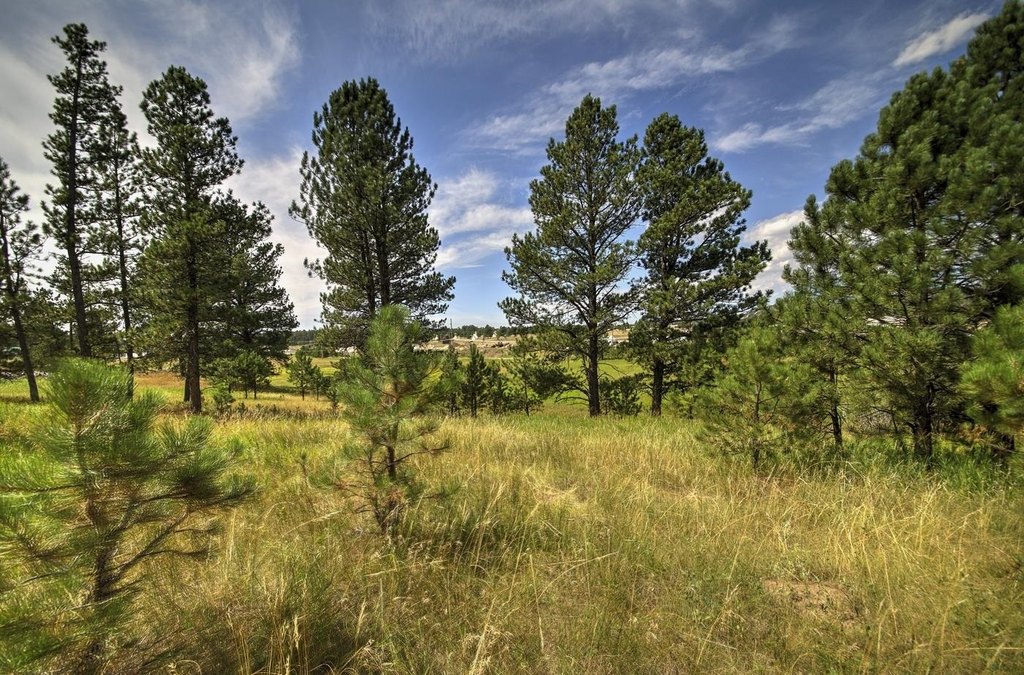 Custer, South Dakota, 57730, United States, ,Land,Forsale,1959663