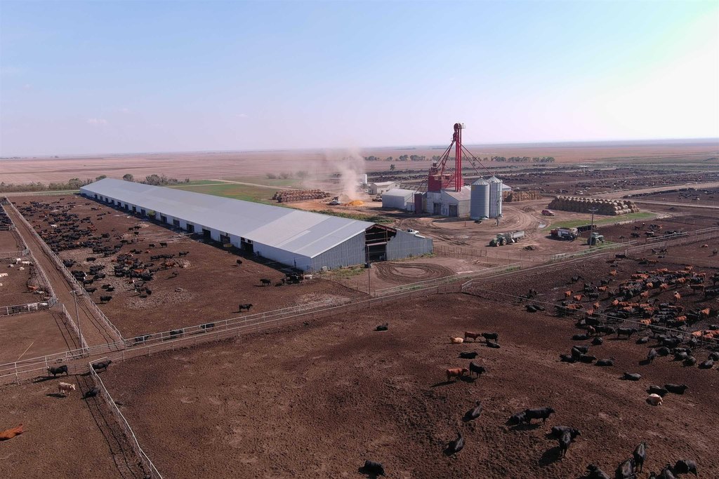 Onida, South Dakota, 57564, United States, ,Residential,Forsale,2011094