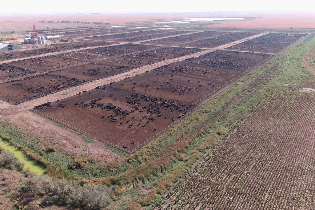 Onida, South Dakota, 57564, United States, ,Residential,Forsale,2011094