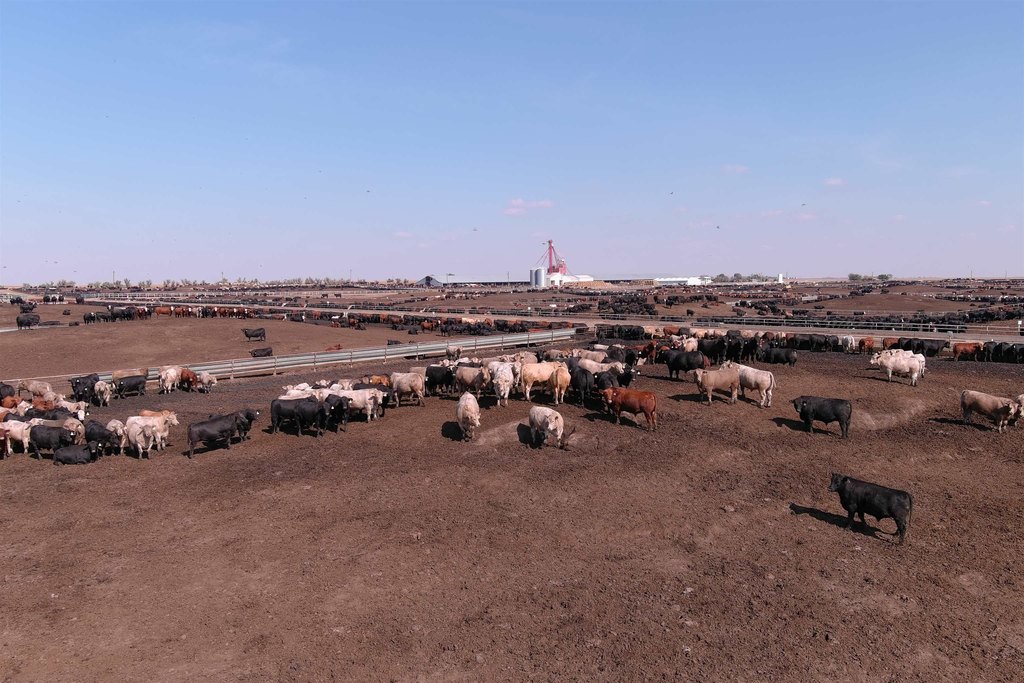 Onida, South Dakota, 57564, United States, ,Residential,Forsale,2011094