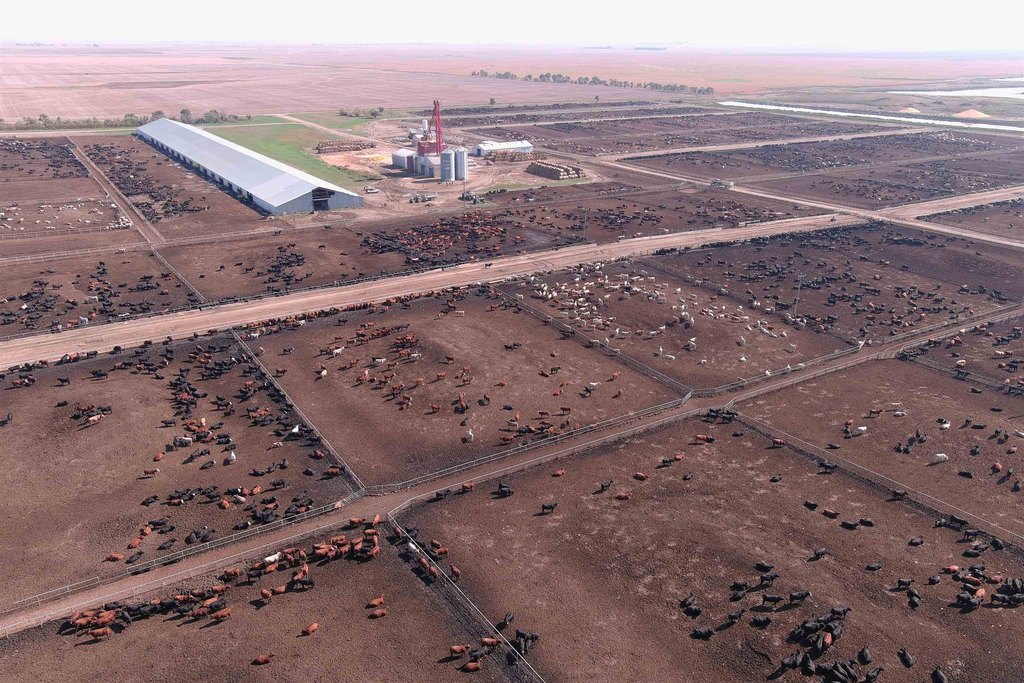 Onida, South Dakota, 57564, United States, ,Residential,Forsale,2011094