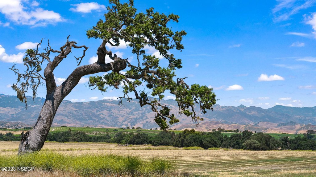 Santa Ynez, California, 93460, United States, 3 Bedrooms Bedrooms, ,2 BathroomsBathrooms,Residential,Forsale,1883948