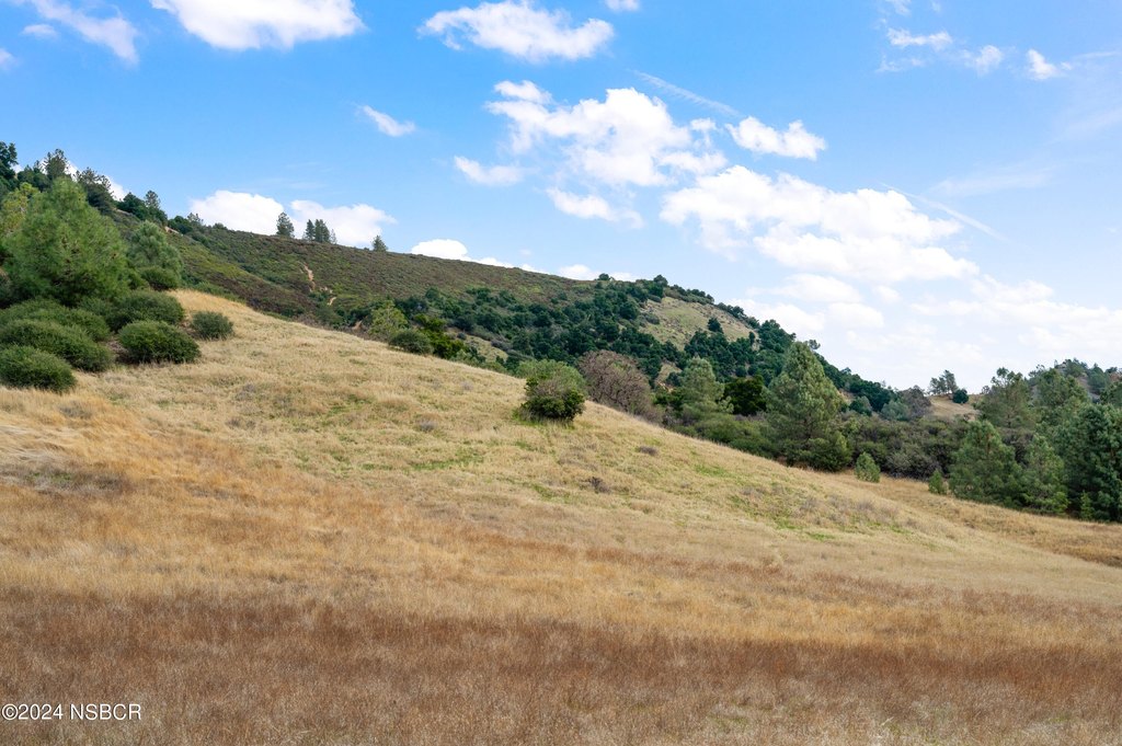 Los Olivos, California, 93441, United States, 2 Bedrooms Bedrooms, ,1 BathroomBathrooms,Residential,Forsale,1941489