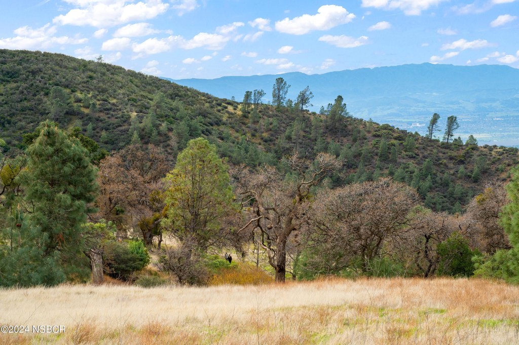 Los Olivos, California, 93441, United States, 2 Bedrooms Bedrooms, ,1 BathroomBathrooms,Residential,Forsale,1941489