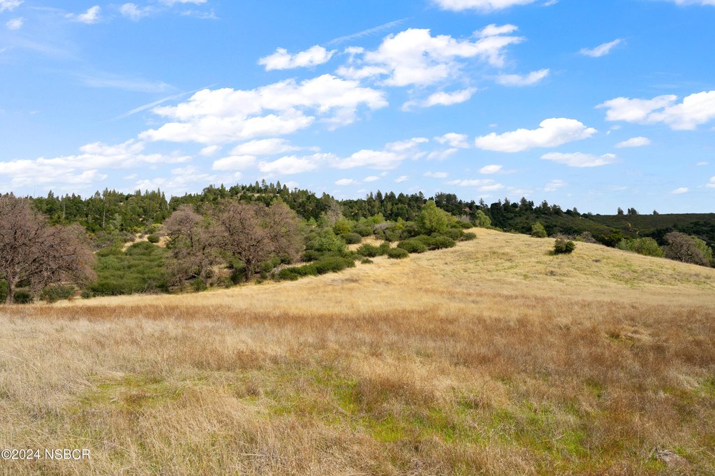 Los Olivos, California, 93441, United States, 2 Bedrooms Bedrooms, ,1 BathroomBathrooms,Residential,Forsale,1941489