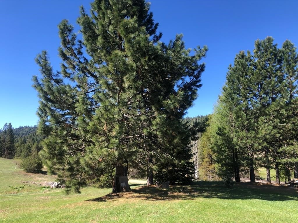 Smith's Ferry, Idaho, 83611, United States, 3 Bedrooms Bedrooms, ,1 BathroomBathrooms,Residential,Forsale,1889368