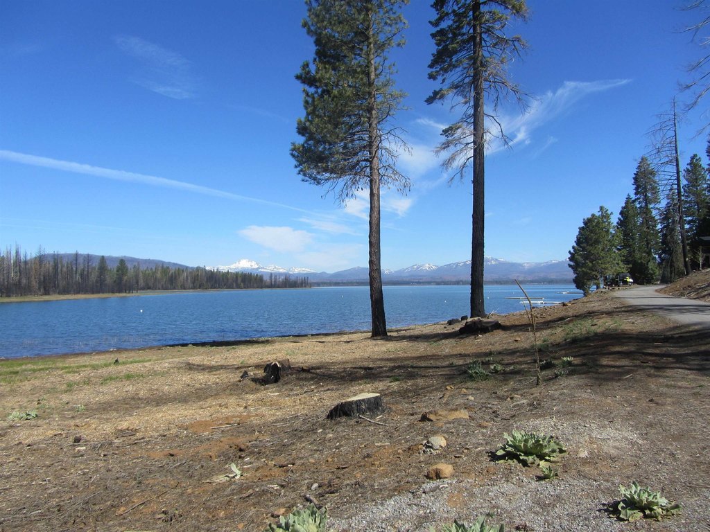 Chester, California, 96020, United States, ,Land,Forsale,1936740