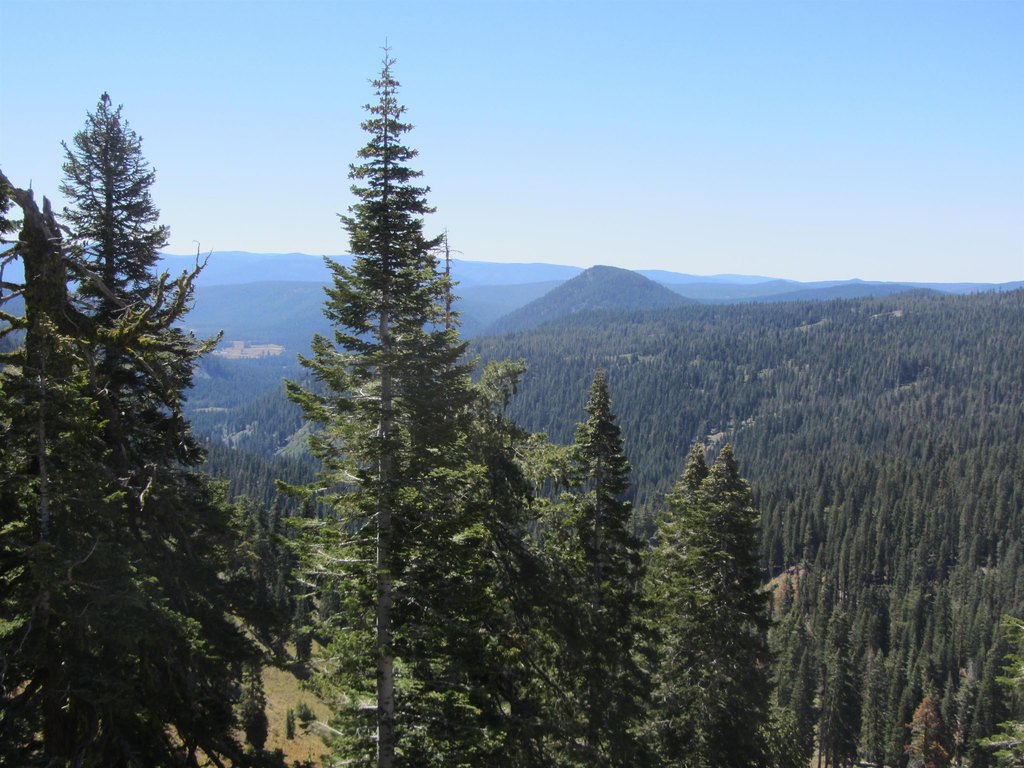 Chester, California, 96020, United States, ,Land,Forsale,1936740