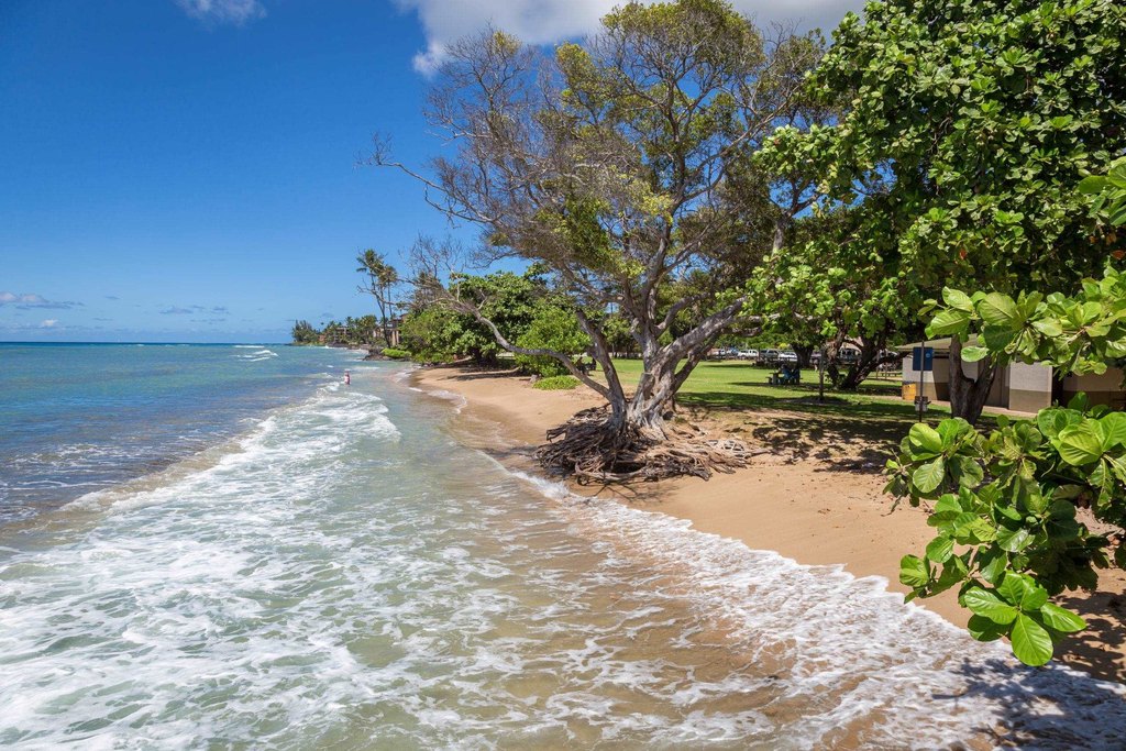 Lahaina, Hawaii, 96761, United States, 2 Bedrooms Bedrooms, ,1 BathroomBathrooms,Residential,Forsale,1944126
