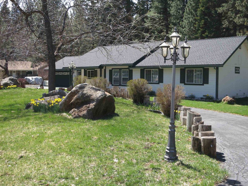 Chester, California, 96020, United States, 3 Bedrooms Bedrooms, ,2 BathroomsBathrooms,Residential,Forsale,1888832