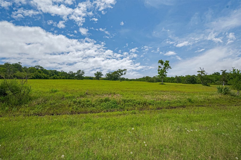 Damon, Texas, 77480, United States, ,Land,Forsale,1953048