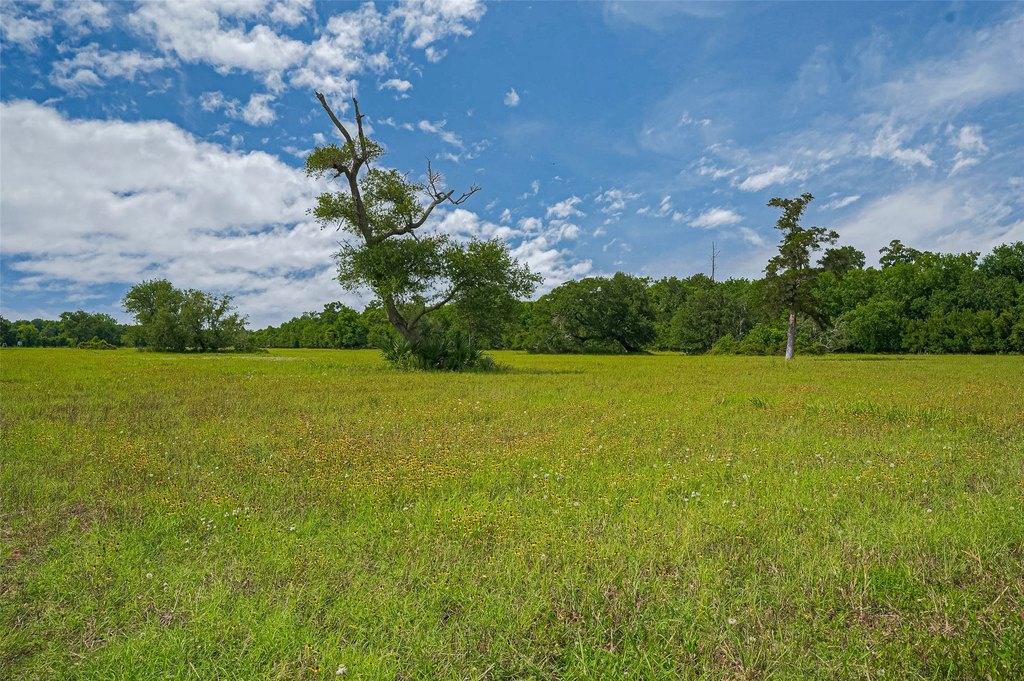 Damon, Texas, 77480, United States, ,Land,Forsale,1953048