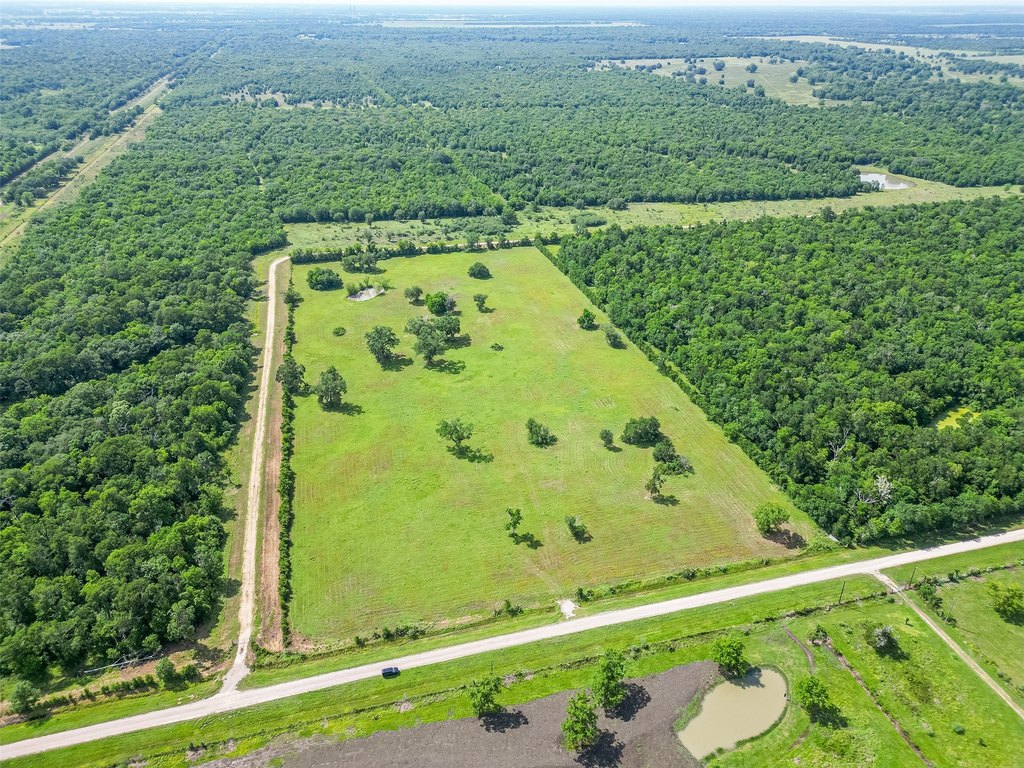 Damon, Texas, 77480, United States, ,Land,Forsale,1953048