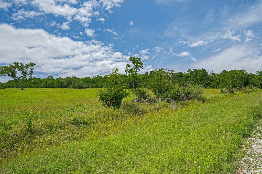 Damon, Texas, 77480, United States, ,Land,Forsale,1953048