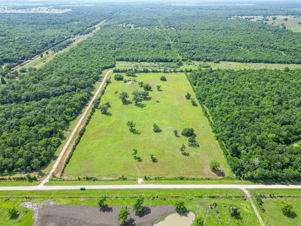 Damon, Texas, 77480, United States, ,Land,Forsale,1953048