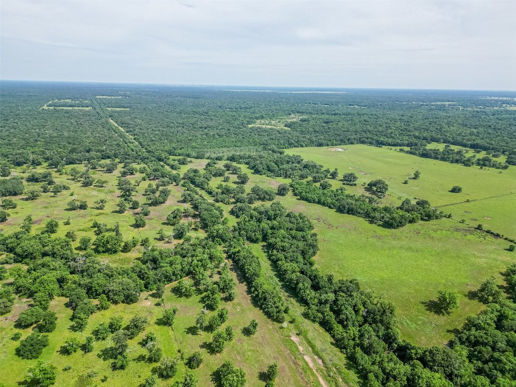 Damon, Texas, 77480, United States, ,Land,Forsale,1953048
