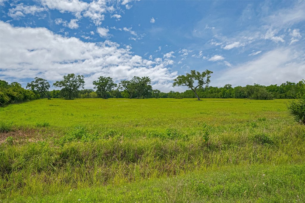 Damon, Texas, 77480, United States, ,Land,Forsale,1953048
