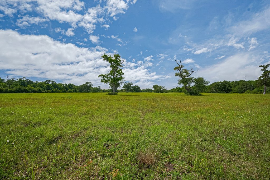 Damon, Texas, 77480, United States, ,Land,Forsale,1953048