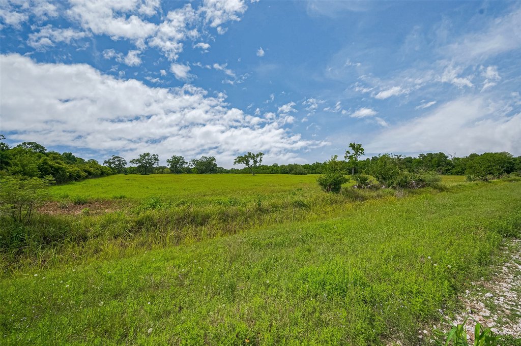 Damon, Texas, 77480, United States, ,Land,Forsale,1953048