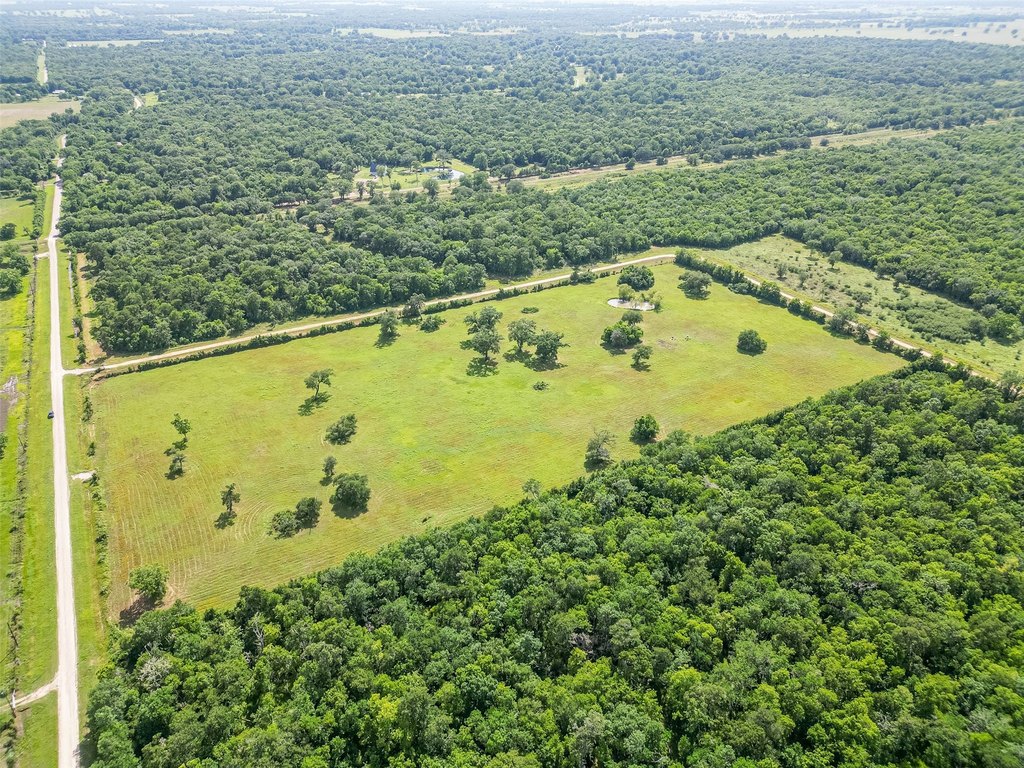 Damon, Texas, 77480, United States, ,Land,Forsale,1953048