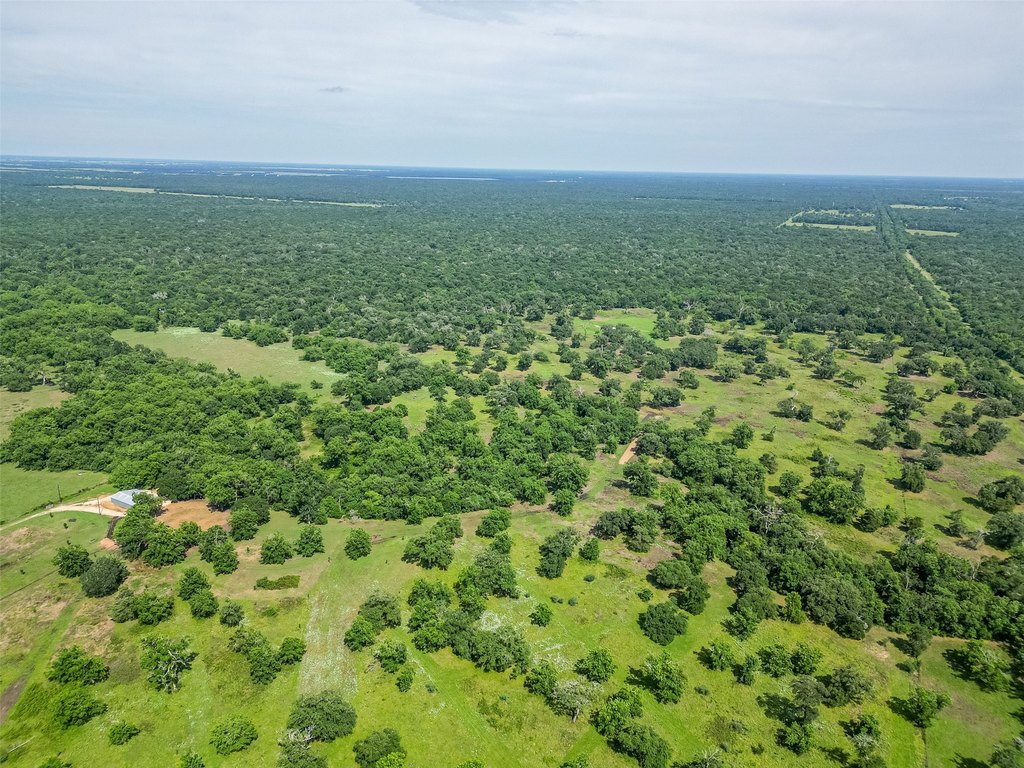 Damon, Texas, 77480, United States, ,Land,Forsale,1953048