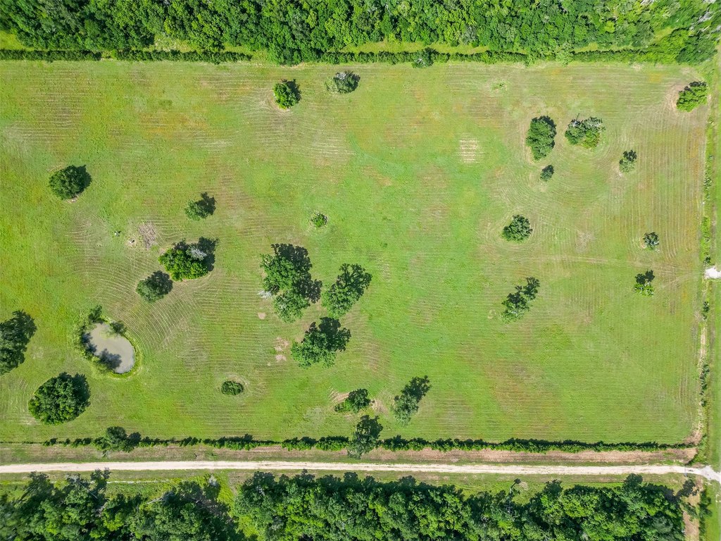 Damon, Texas, 77480, United States, ,Land,Forsale,1953048