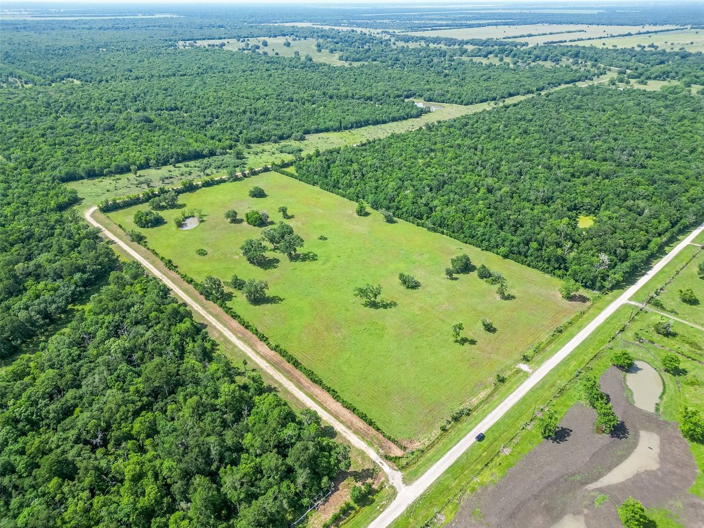 Damon, Texas, 77480, United States, ,Land,Forsale,1953048