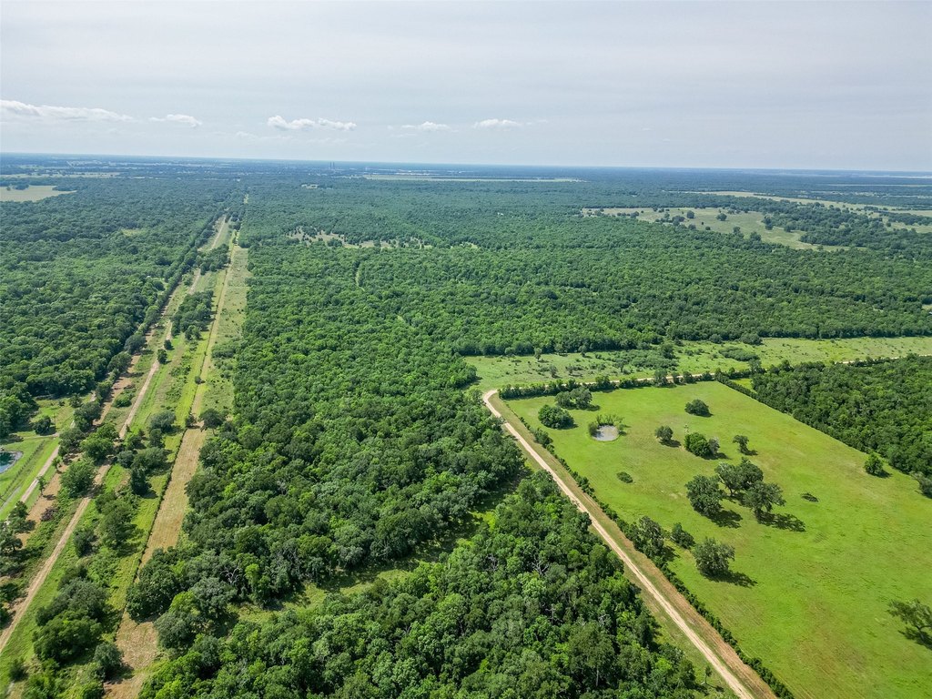 Damon, Texas, 77480, United States, ,Land,Forsale,1953048