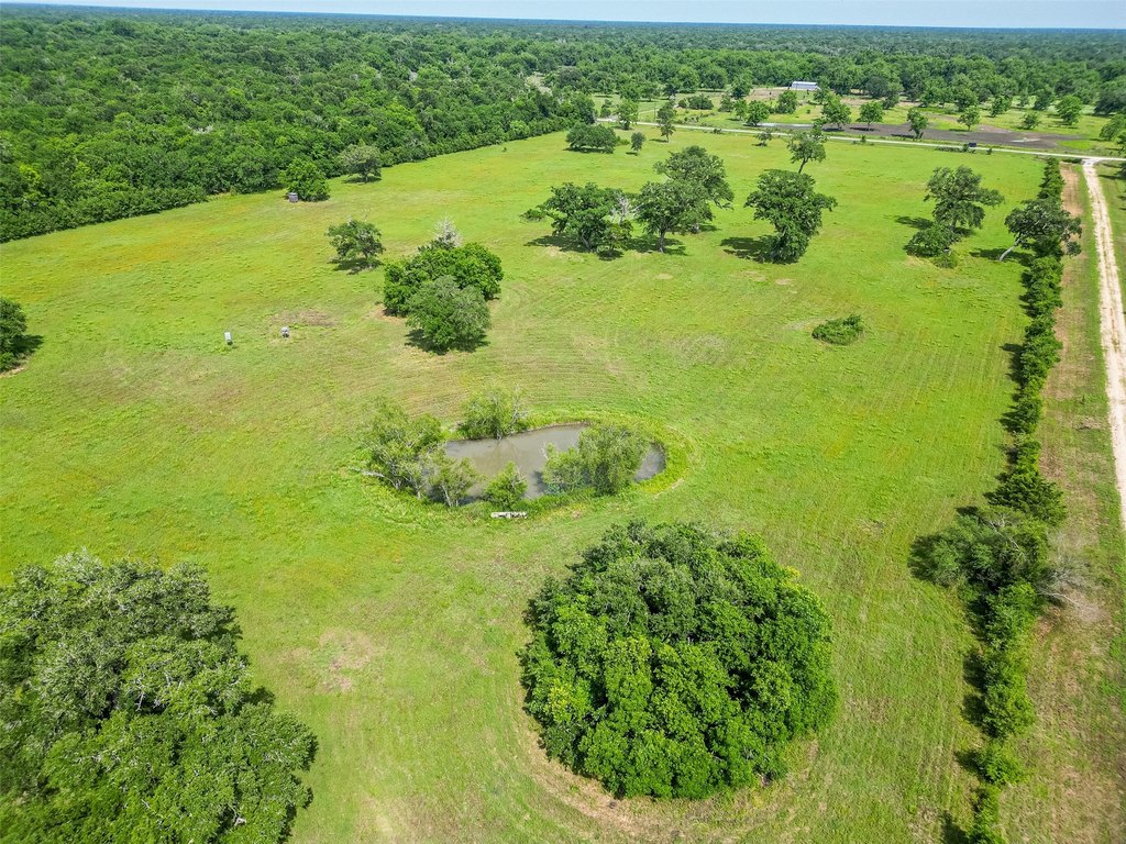 Damon, Texas, 77480, United States, ,Land,Forsale,1953048