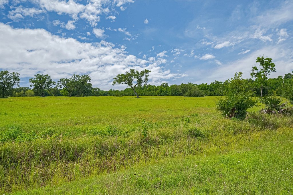 Damon, Texas, 77480, United States, ,Land,Forsale,1953048