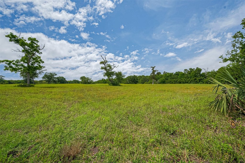 Damon, Texas, 77480, United States, ,Land,Forsale,1953048
