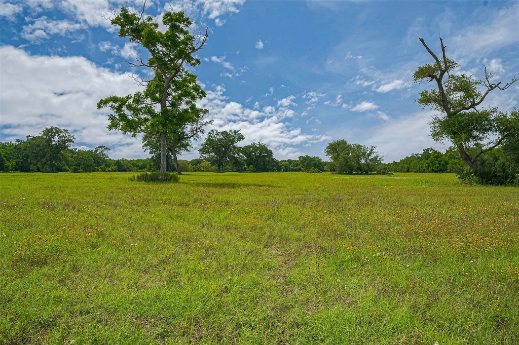 Damon, Texas, 77480, United States, ,Land,Forsale,1953048
