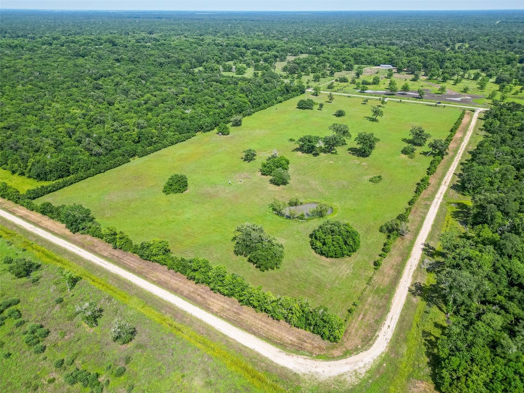 Damon, Texas, 77480, United States, ,Land,Forsale,1953048