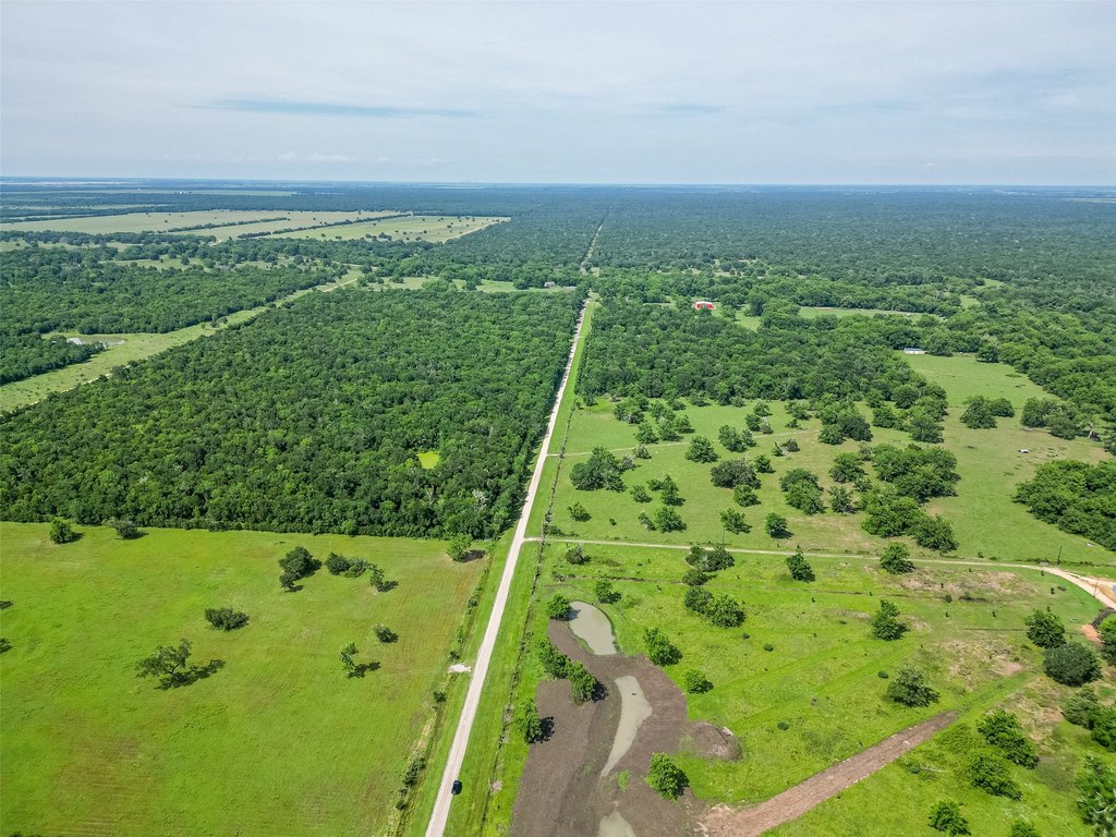 Damon, Texas, 77480, United States, ,Land,Forsale,1953048