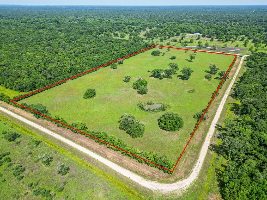 Damon, Texas, 77480, United States, ,Land,Forsale,1953048