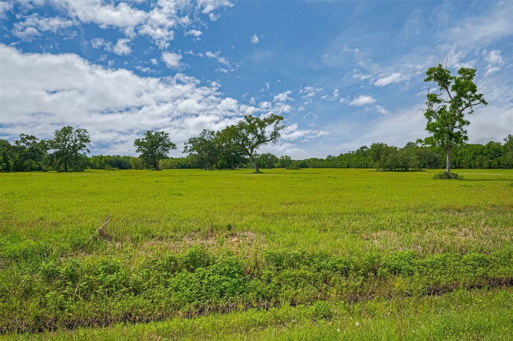 Damon, Texas, 77480, United States, ,Land,Forsale,1953048