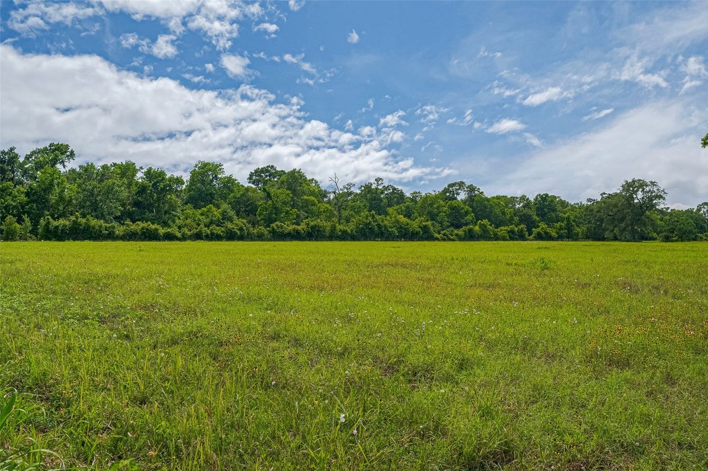 Damon, Texas, 77480, United States, ,Land,Forsale,1953048
