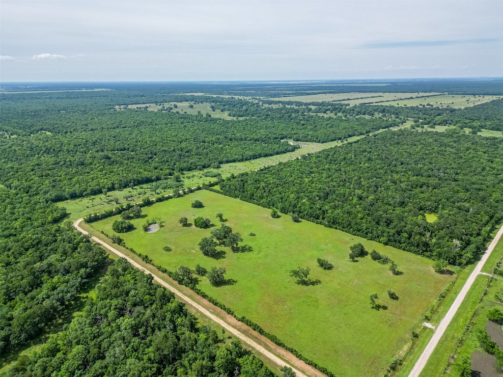 Damon, Texas, 77480, United States, ,Land,Forsale,1953048
