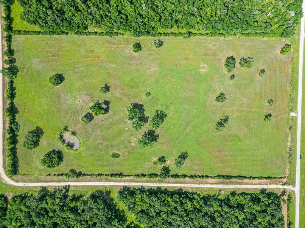 Damon, Texas, 77480, United States, ,Land,Forsale,1953048