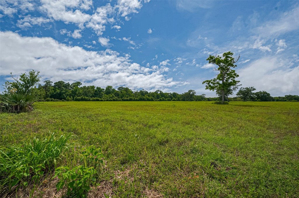 Damon, Texas, 77480, United States, ,Land,Forsale,1953048