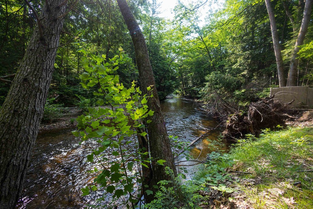 Tamworth, New Hampshire, 03886, United States, 13 Bedrooms Bedrooms, ,12 BathroomsBathrooms,Residential,Forsale,1968468