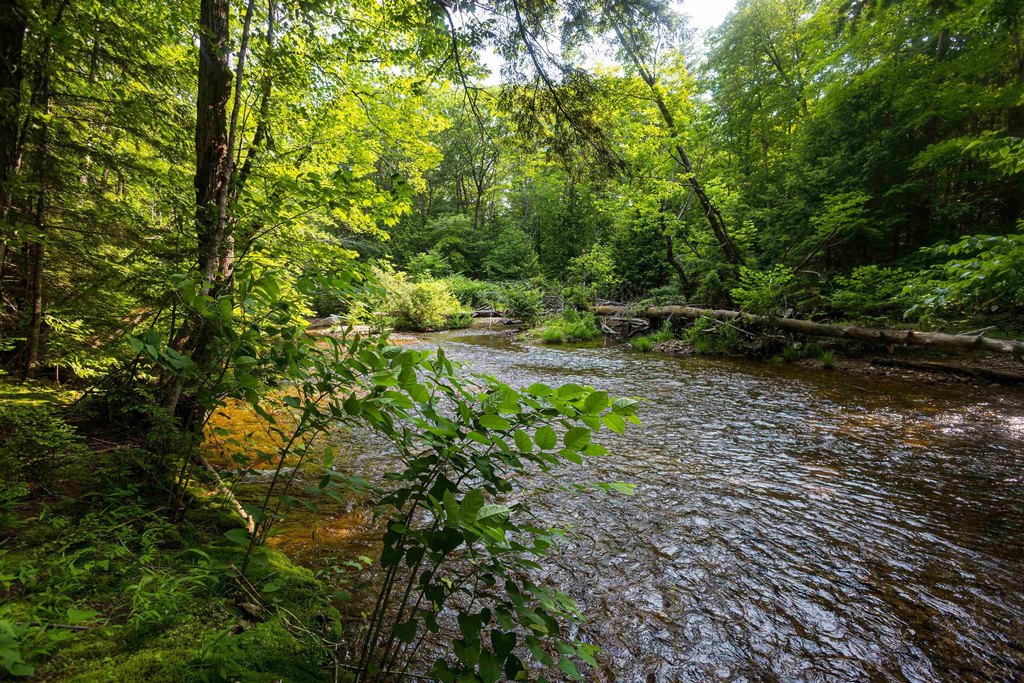 Tamworth, New Hampshire, 03886, United States, 13 Bedrooms Bedrooms, ,12 BathroomsBathrooms,Residential,Forsale,1968468